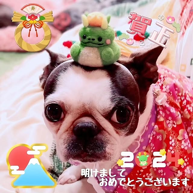 maiさんの部屋
