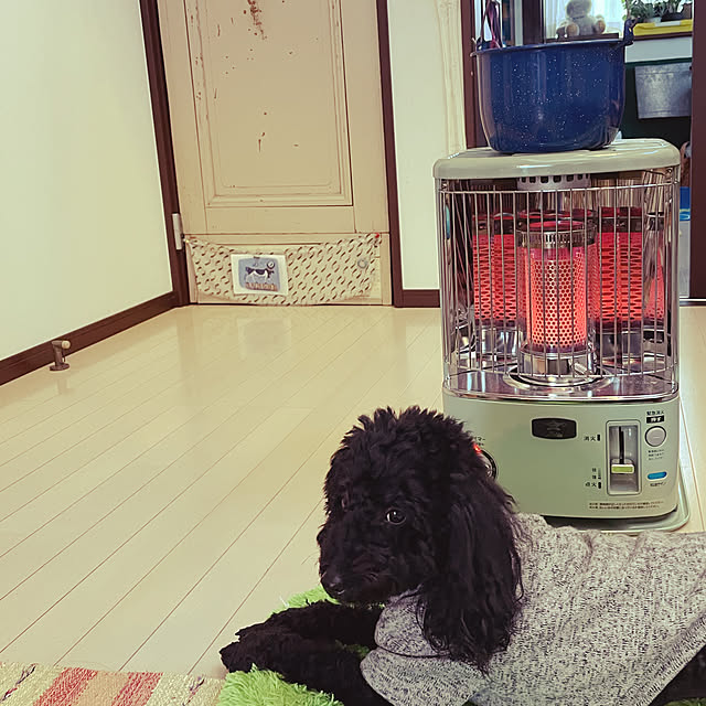bkさんの実例写真