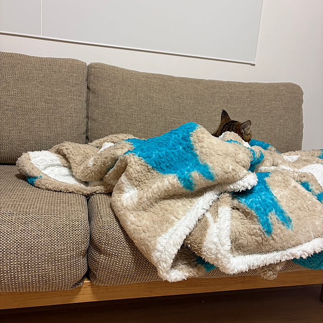 tiroさんの実例写真