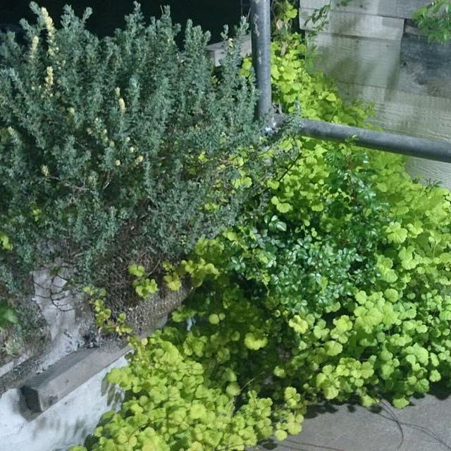 GreenWorksさんの実例写真
