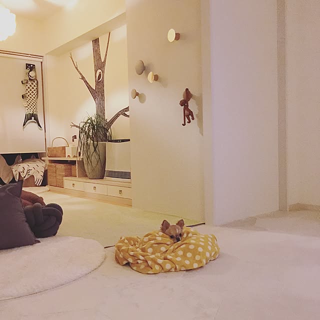 haruhinaさんの実例写真