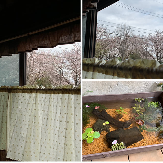 tabasaさんの実例写真