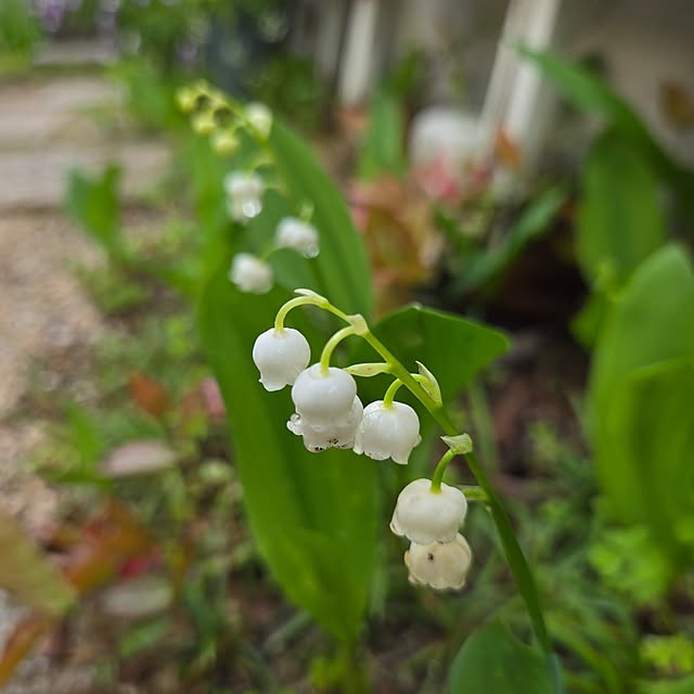 min_nimさんの実例写真