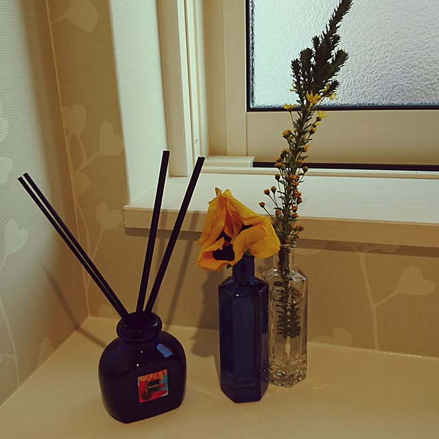 daracoさんの実例写真