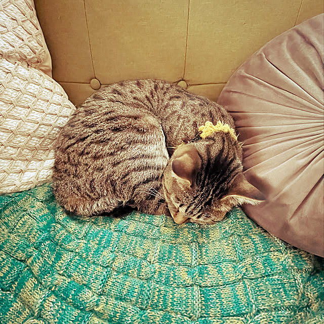 Mさんの実例写真