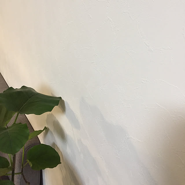 ychu39さんの実例写真