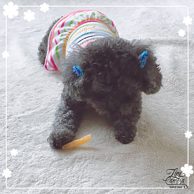 makkoさんの実例写真