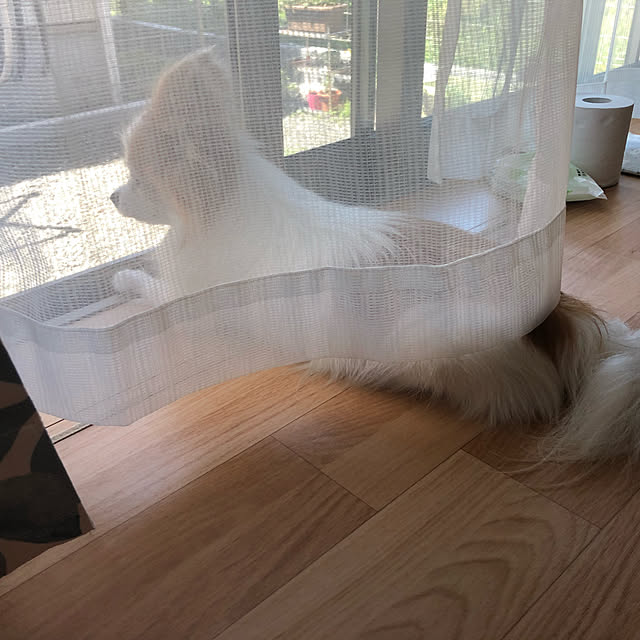 Hiromiさんの実例写真