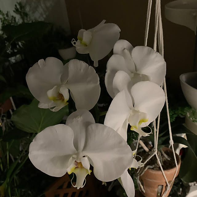 Aqettyさんの部屋