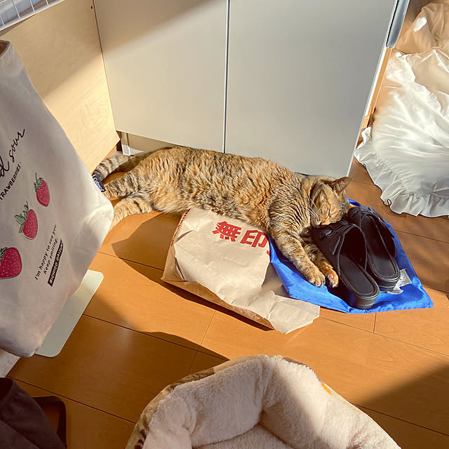 hansho.sさんの実例写真
