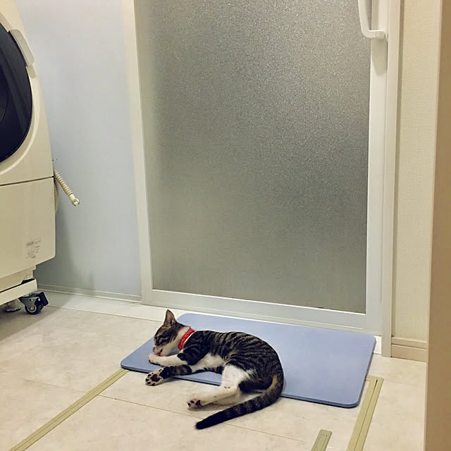 ippu0303Karinさんの実例写真