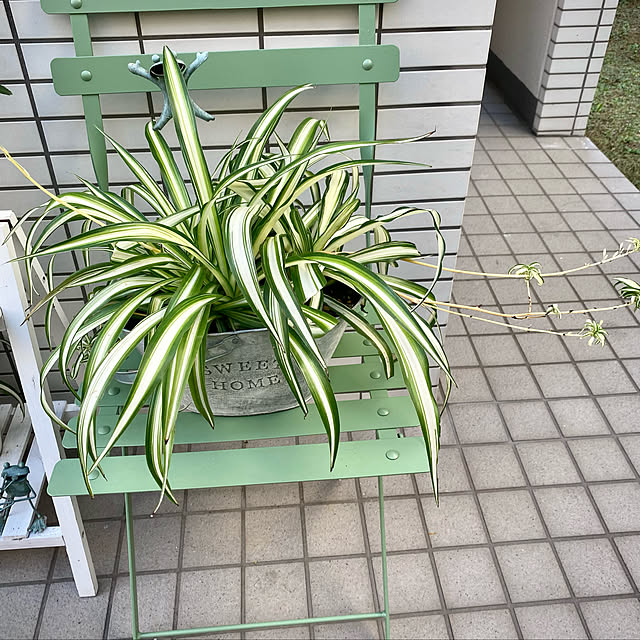 YuuKoさんの実例写真