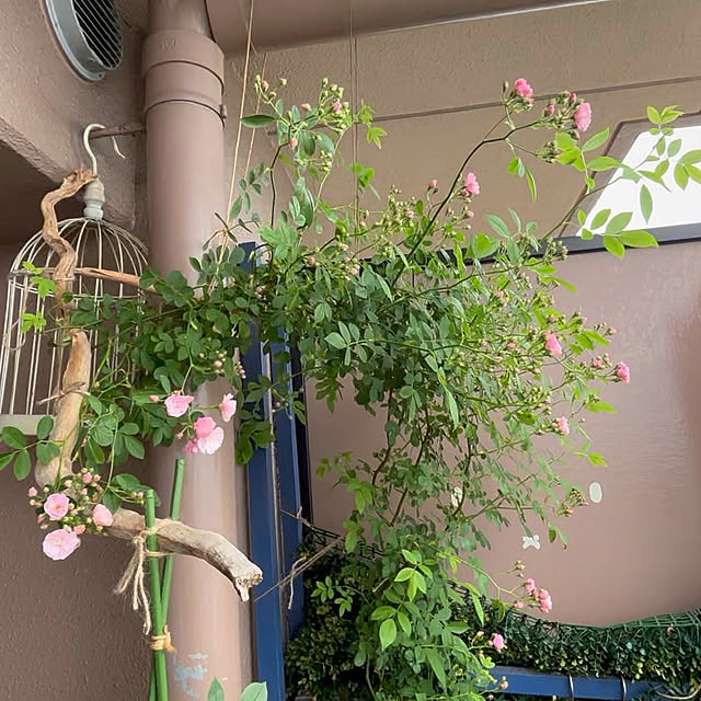 naokoさんの部屋