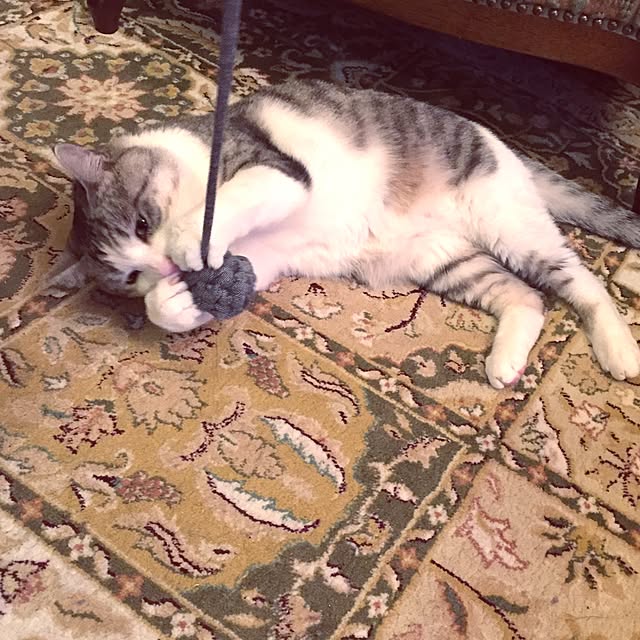 emmyyさんの実例写真