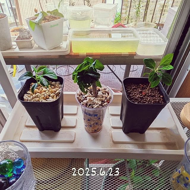 mi-saさんの実例写真