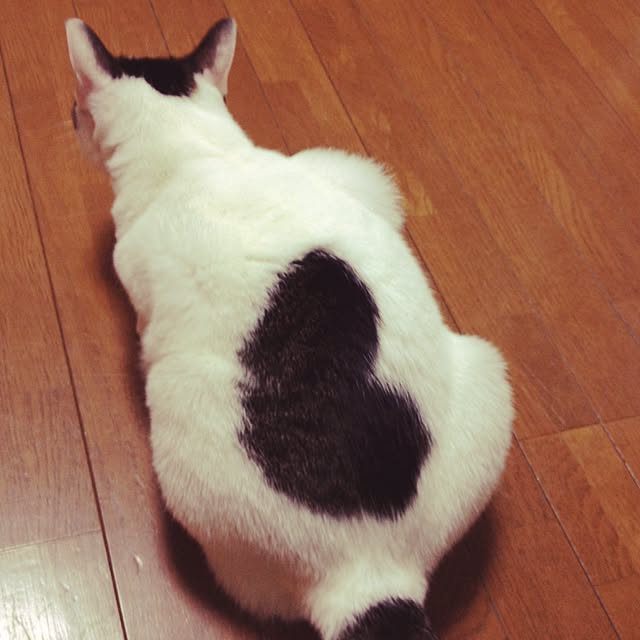 Happypinkさんの実例写真