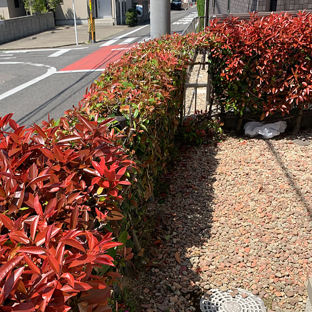 yukarin-gardenさんの実例写真
