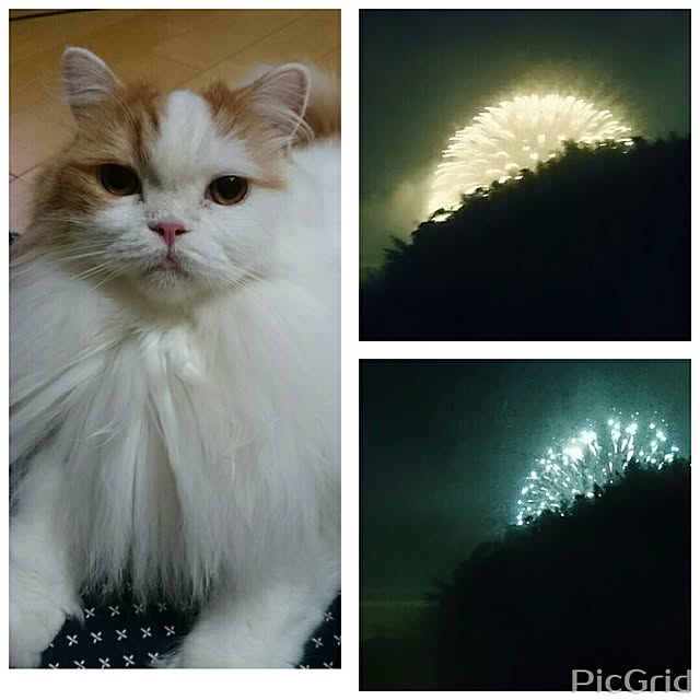 1ldksさんの実例写真