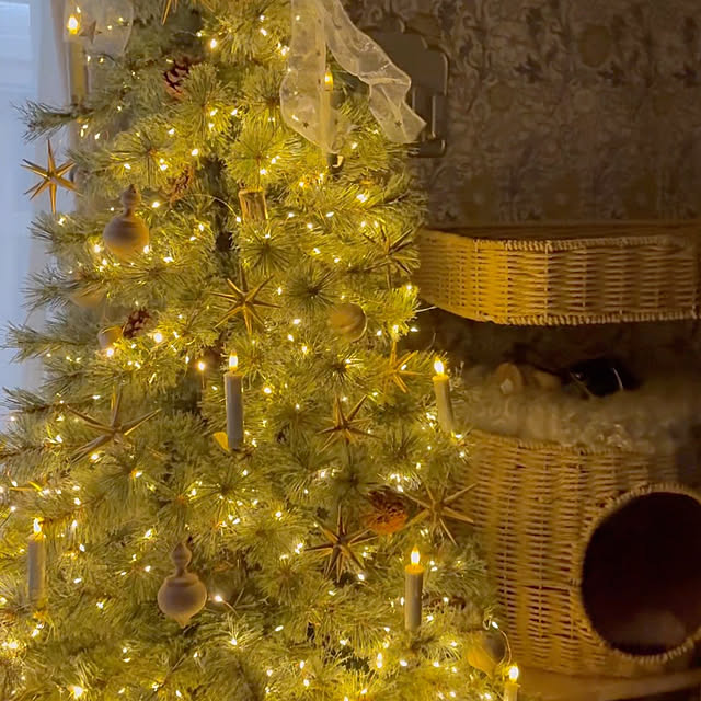 kokkomachaさんの実例写真