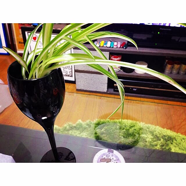Kentaroさんの実例写真