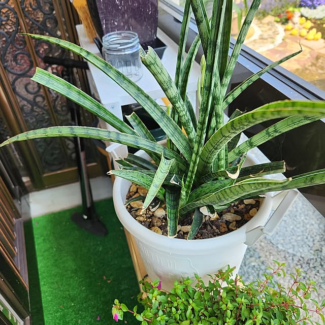 Mariさんの部屋