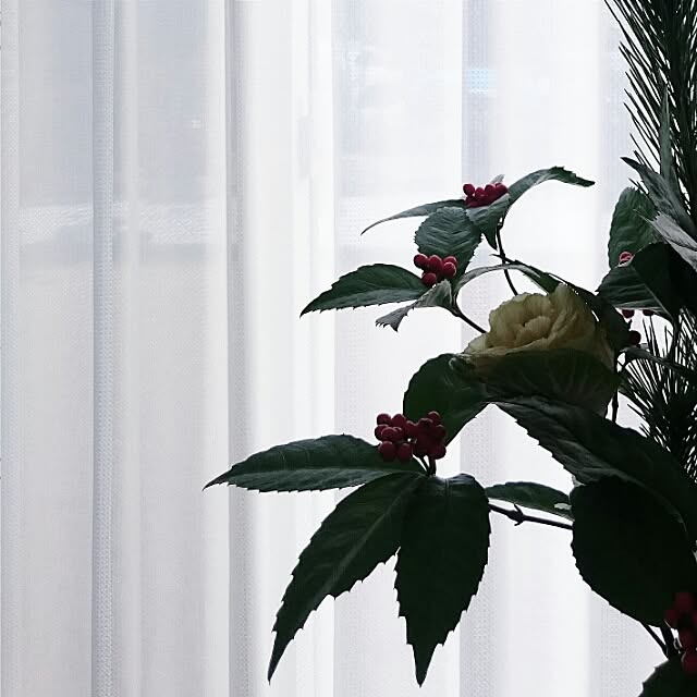 Ucoさんの実例写真