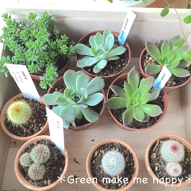 mikkoさんの実例写真