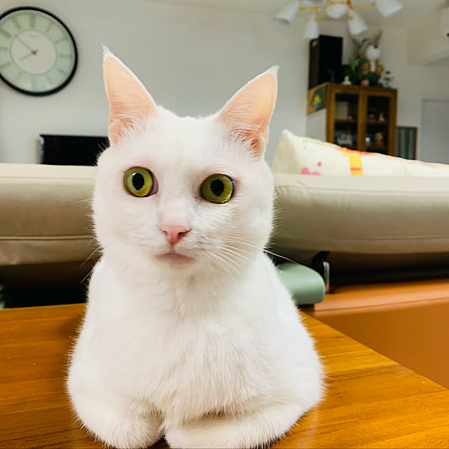 pcu110さんの実例写真