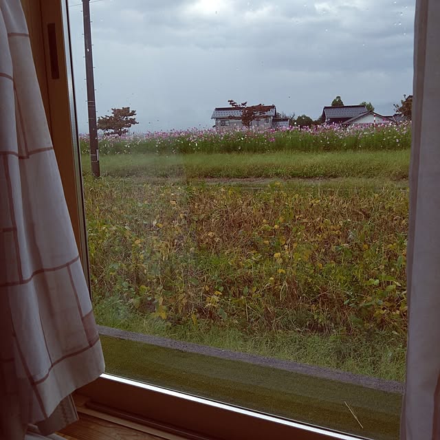 chiiyanさんの部屋