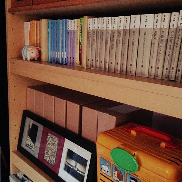 Megamouthさんの実例写真