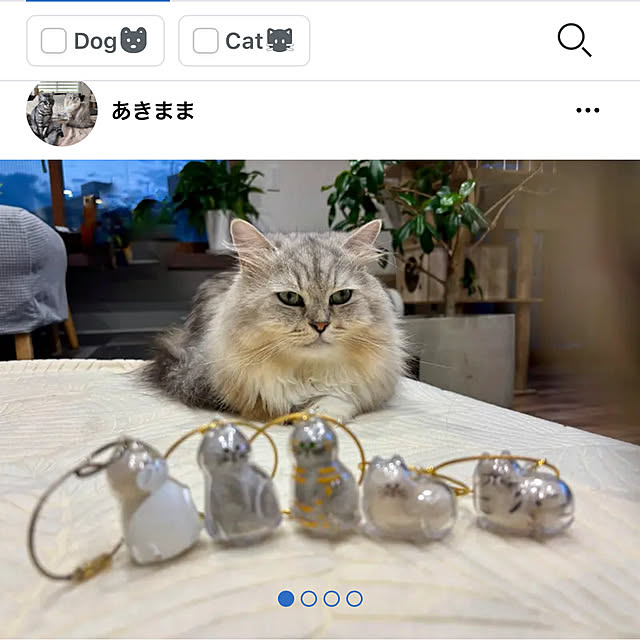 akimamさんの実例写真