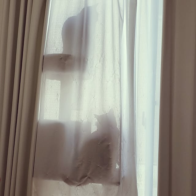 asahinaさんの実例写真