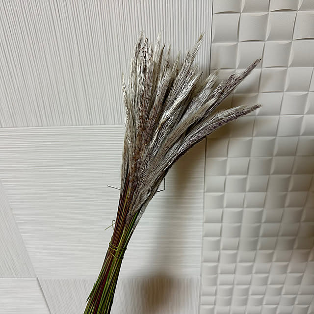 mizucchiさんの部屋