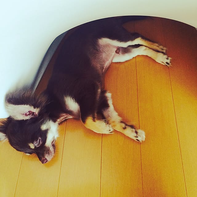 takaさんの実例写真