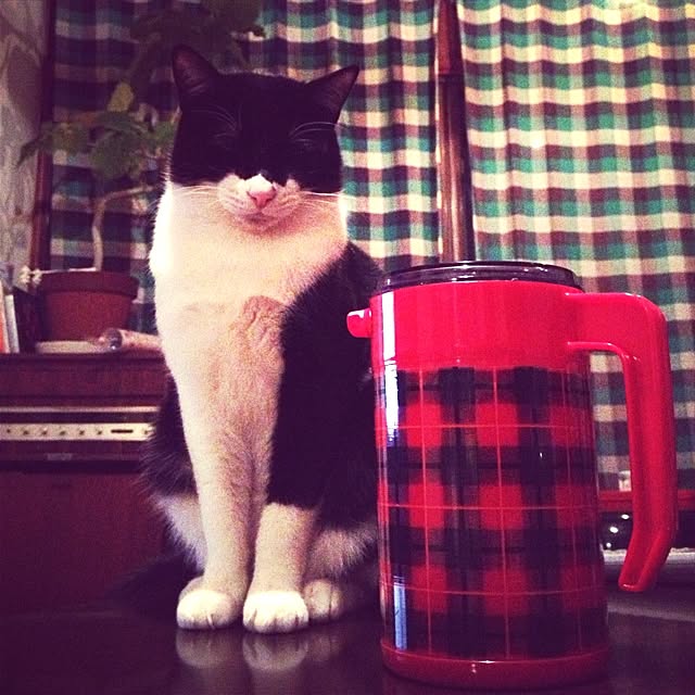 UGOさんの実例写真