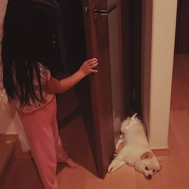yuki15さんの実例写真