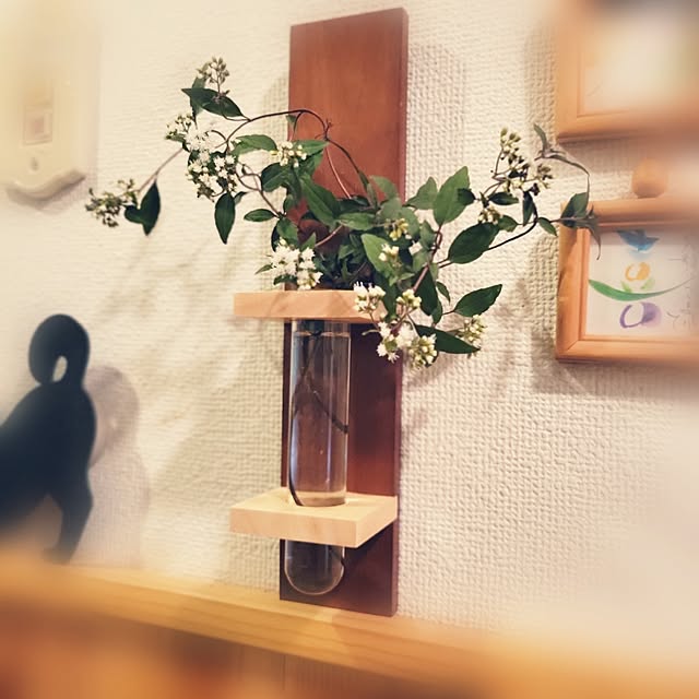 shinkoukei-hahaさんの部屋