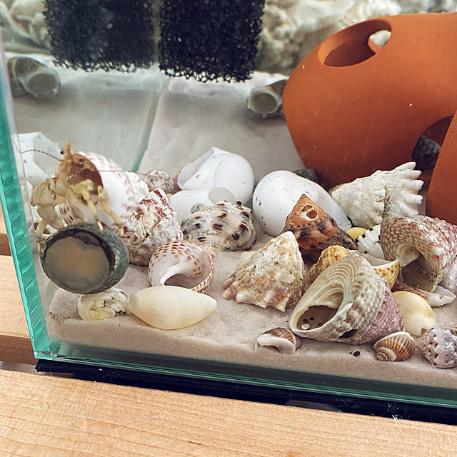tom_cさんの実例写真