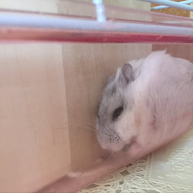 Mioさんの実例写真