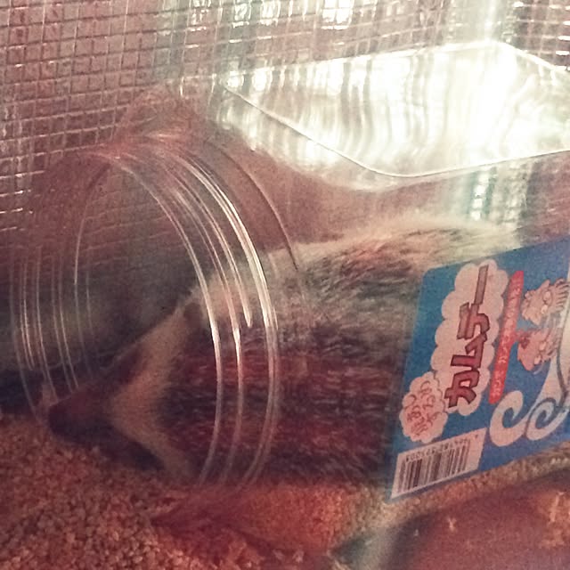 NaoMさんの実例写真