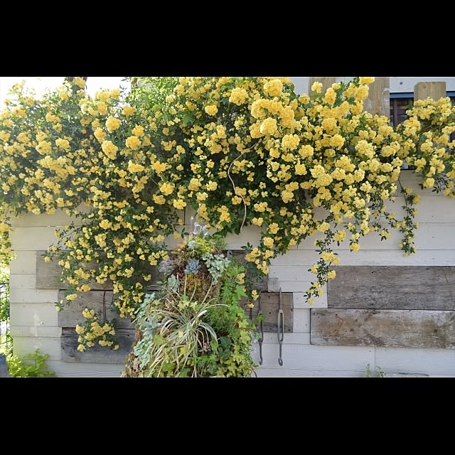 GreenWorksさんの実例写真