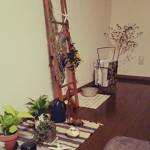 pinkoさんの実例写真