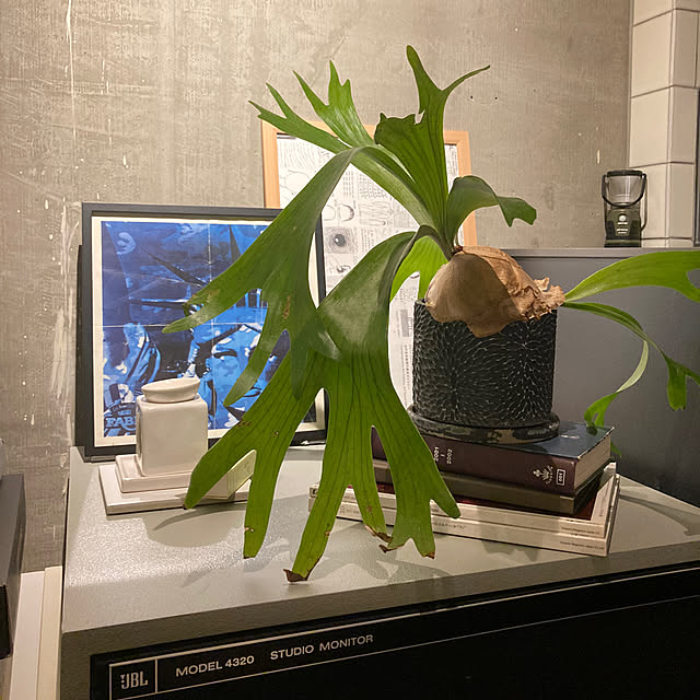 pwsophyさんの部屋