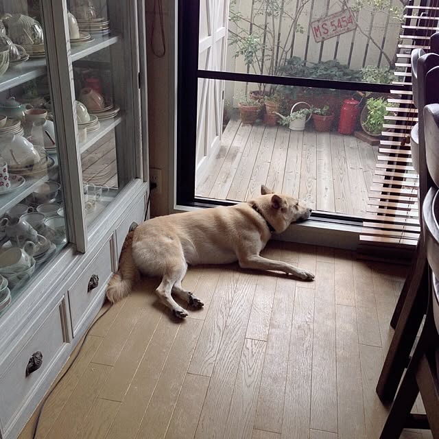 leonaさんの実例写真