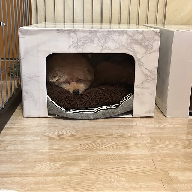 chocomamaさんの実例写真