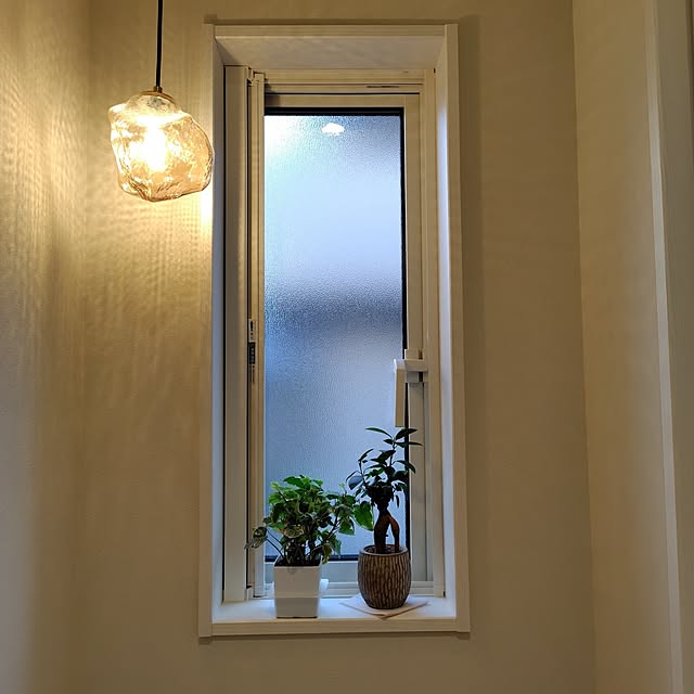 ayan-green.さんの実例写真