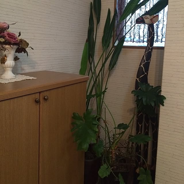sakuranさんの実例写真