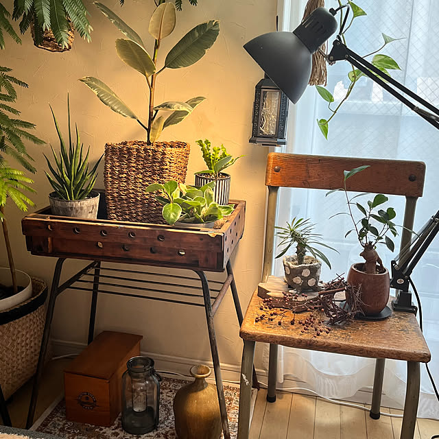 okkunさんの部屋