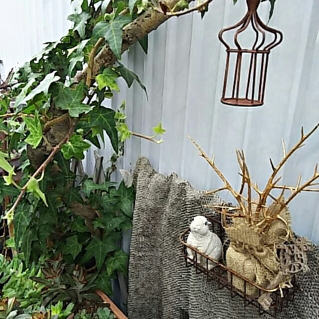 INDOORさんの実例写真