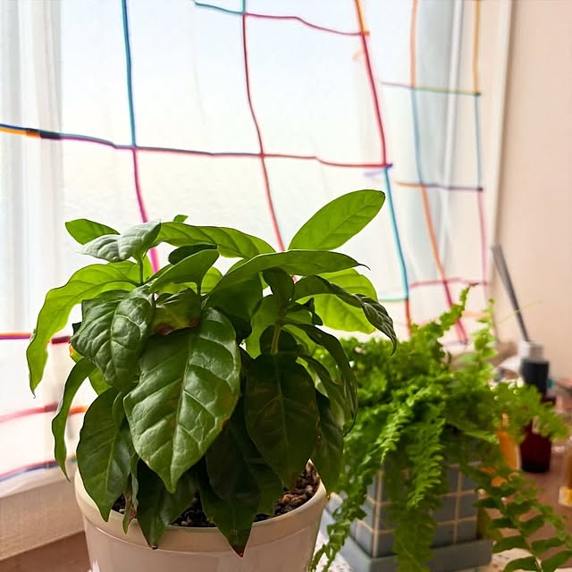 perfectspaceさんの実例写真